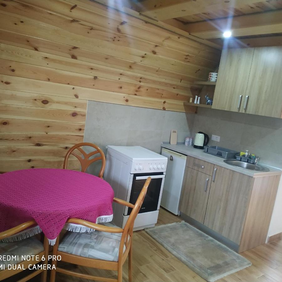 Apartment Jegdic-zabljak